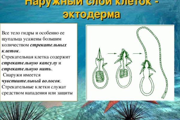 Кракен даркнет что известно