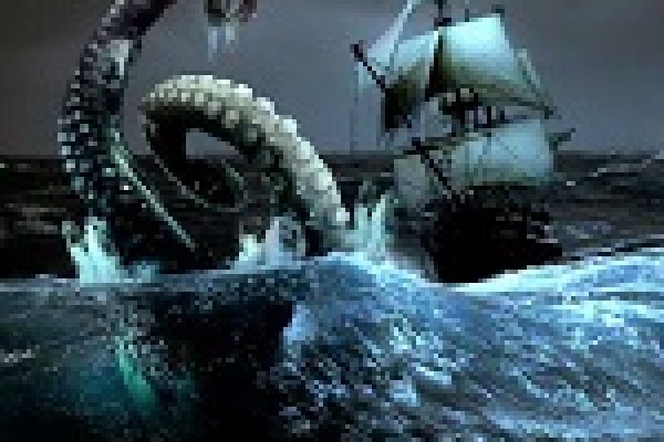 Kraken 24 top