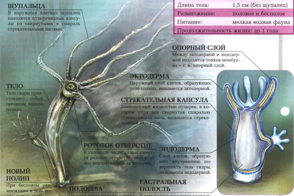 Кракен маркетплейс что там