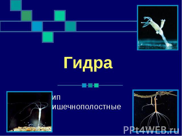 Kraken наркотики сайт